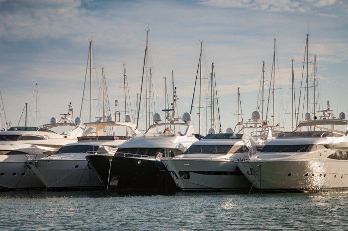 boat rental in sarasota